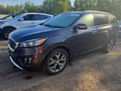 5XYPKDA13HG224392 2017 KIA SORENTO