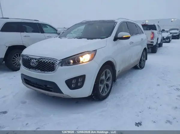 5XYPKDA14GG093164 2016 KIA SORENTO - Image 2