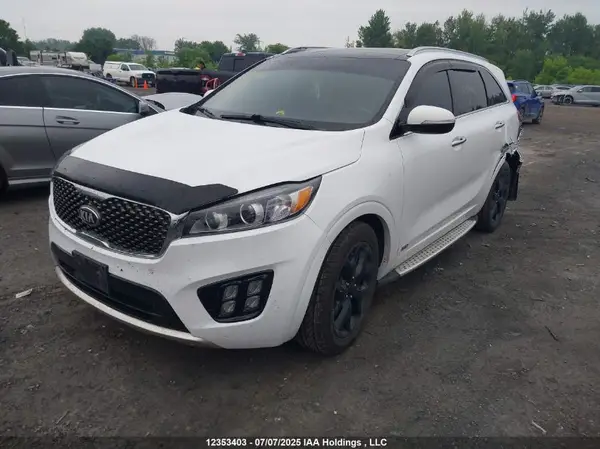 5XYPKDA1XHG228732 2017 KIA SORENTO - Image 2