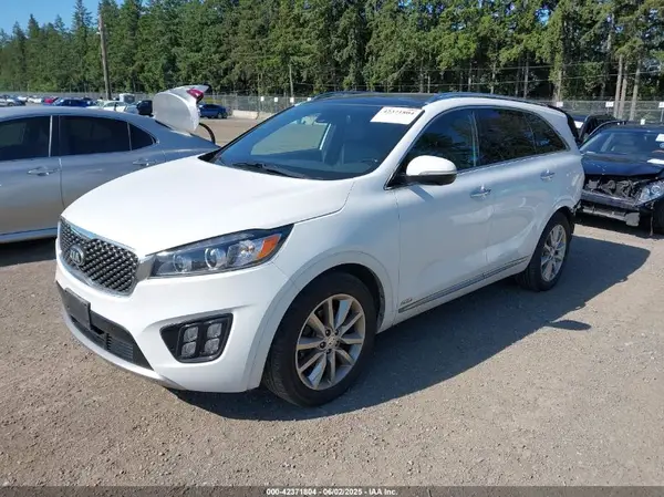 5XYPKDA50GG007514 2016 KIA SORENTO - Image 2