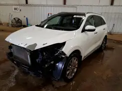 5XYPKDA50GG013670 2016 KIA SORENTO