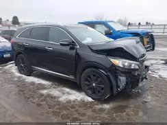 5XYPKDA50GG026273 2016 KIA SORENTO