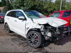5XYPKDA50GG104907 2016 KIA SORENTO