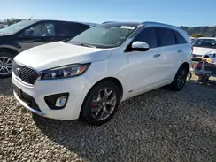 5XYPKDA50GG163388 2016 KIA SORENTO