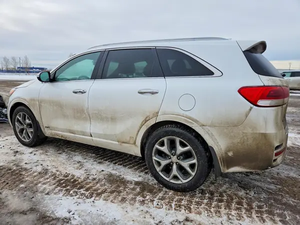 5XYPKDA50GG184662 2016 KIA SORENTO - Image 2