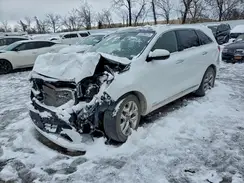 5XYPKDA50KG513644 2019 KIA SORENTO