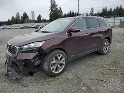 5XYPKDA50LG696187 2020 KIA SORENTO