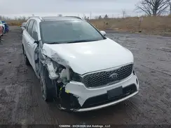 5XYPKDA51JG362246 2018 KIA SORENTO