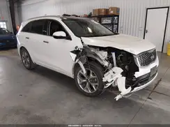 5XYPKDA51LG687630 2020 KIA SORENTO