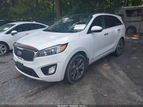 5XYPKDA52GG129954 2016 KIA SORENTO - Image 2