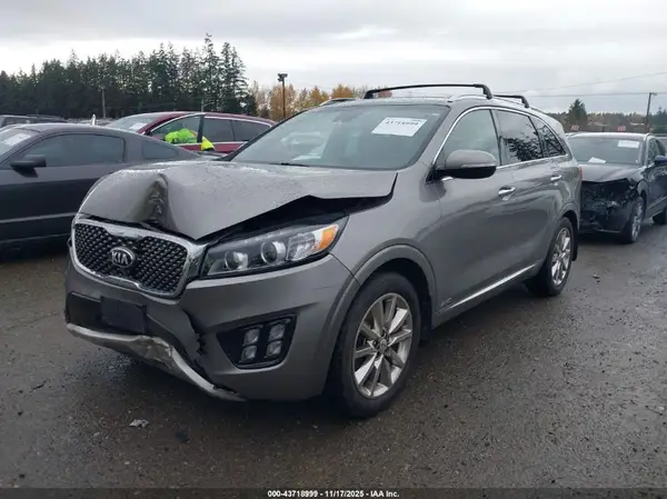 5XYPKDA52HG228906 2017 KIA SORENTO - Image 2