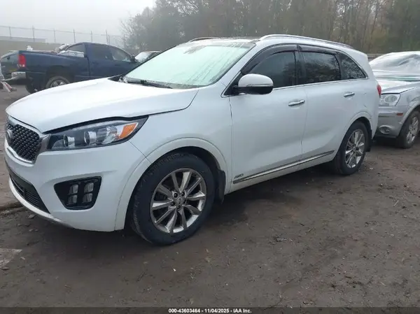 5XYPKDA52HG319030 2017 KIA SORENTO - Image 2