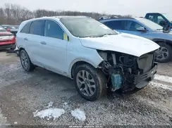 5XYPKDA52KG533507 2019 KIA SORENTO