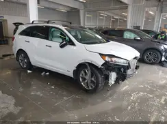 5XYPKDA52LG667113 2020 KIA SORENTO
