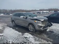 5XYPKDA53GG007670 2016 KIA SORENTO