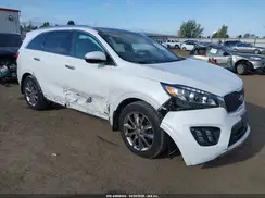 5XYPKDA53GG155110 2016 KIA SORENTO