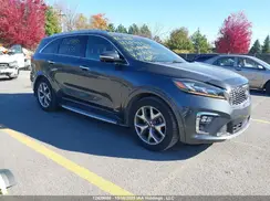 5XYPKDA53LG617675 2020 KIA SORENTO