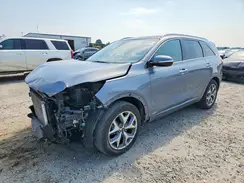 5XYPKDA53LG648232 2020 KIA SORENTO