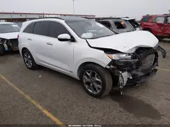 5XYPKDA53LG655455 2020 KIA SORENTO