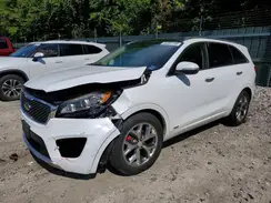 5XYPKDA54GG101007 2016 KIA SORENTO