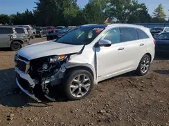 5XYPKDA54GG169050 2016 KIA SORENTO