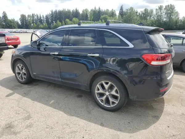 5XYPKDA54HG220483 2017 KIA SORENTO - Image 2