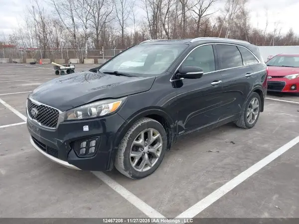 5XYPKDA54HG253371 2017 KIA SORENTO - Image 2