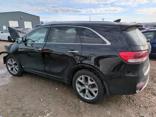 5XYPKDA54HG322656 2017 KIA SORENTO - Image 2