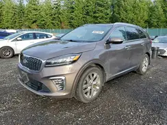 5XYPKDA54KG456090 2019 KIA SORENTO
