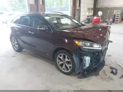 5XYPKDA54KG465713 2019 KIA SORENTO