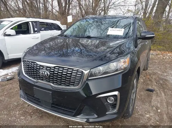 5XYPKDA54KG500685 2019 KIA SORENTO - Image 2