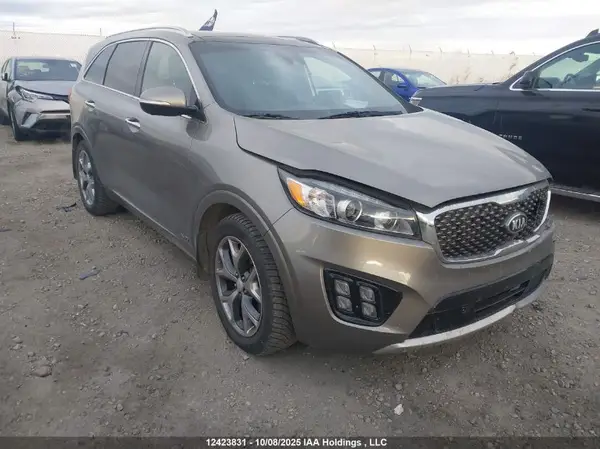 5XYPKDA55HG233307 2017 KIA SORENTO - Image 1