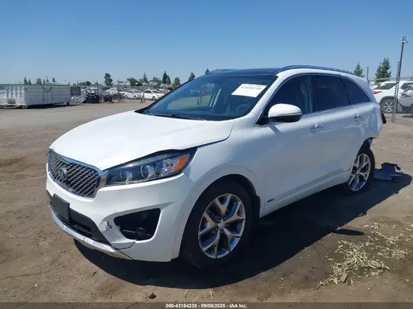 5XYPKDA55HG256554 2017 KIA SORENTO - Image 2