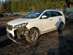 5XYPKDA55HG262354 2017 KIA SORENTO