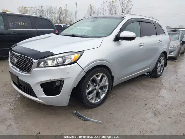 5XYPKDA55HG331902 2017 KIA SORENTO - Image 2