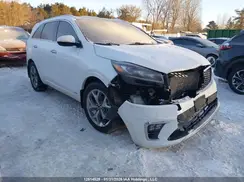 5XYPKDA55KG530276 2019 KIA SORENTO