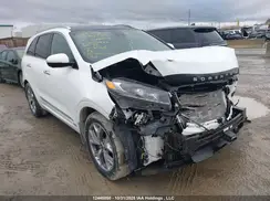 5XYPKDA55LG653920 2020 KIA SORENTO