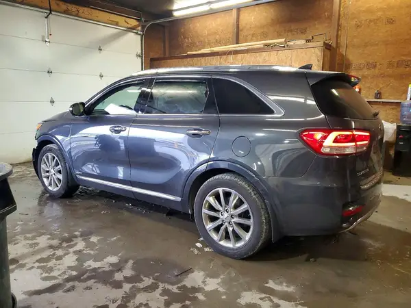 5XYPKDA56GG168191 2016 KIA SORENTO - Image 2