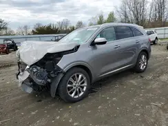 5XYPKDA56GG176873 2016 KIA SORENTO