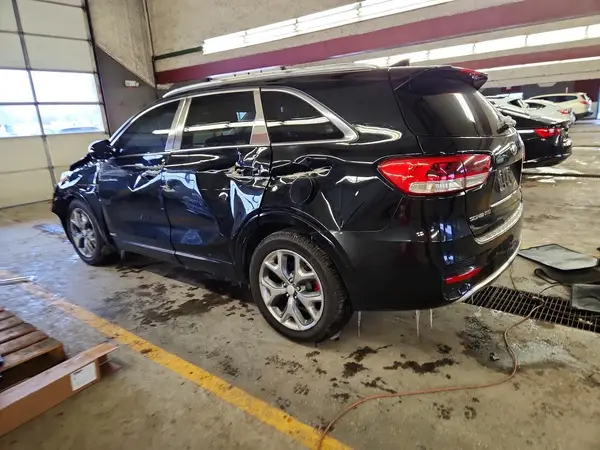 5XYPKDA56HG205452 2017 KIA SORENTO - Image 2