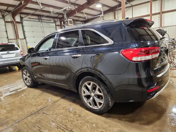 5XYPKDA56HG239584 2017 KIA SORENTO - Image 2