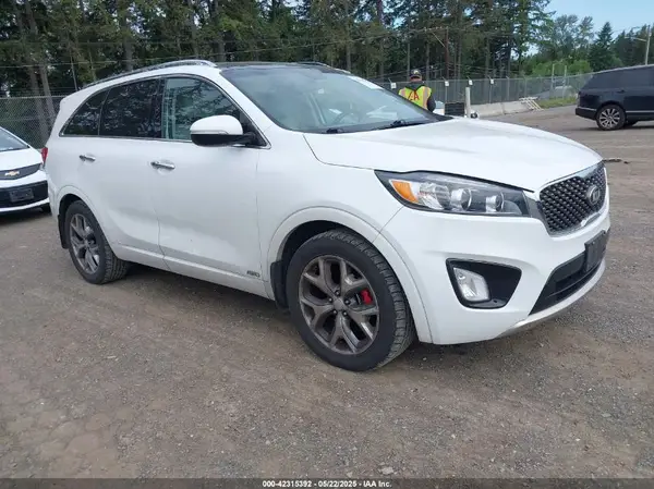 5XYPKDA56HG310105 2017 KIA SORENTO - Image 1