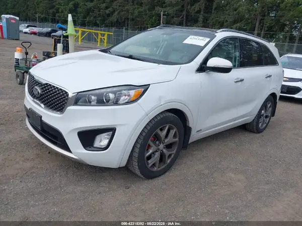 5XYPKDA56HG310105 2017 KIA SORENTO - Image 2