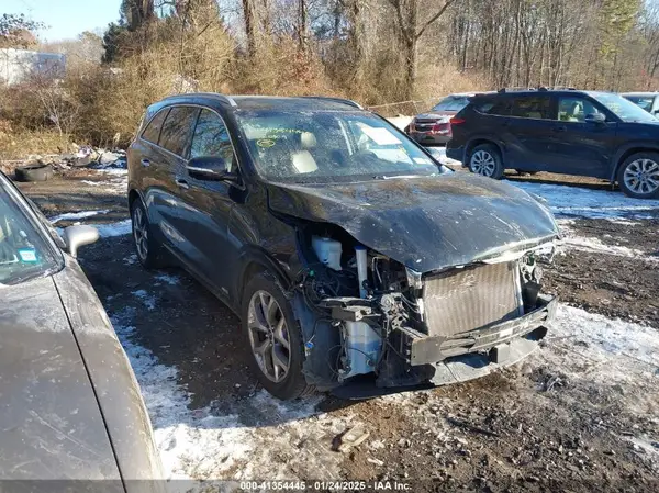 5XYPKDA56LG694332 2020 KIA SORENTO - Image 1