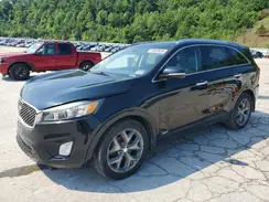 5XYPKDA57GG019563 2016 KIA SORENTO