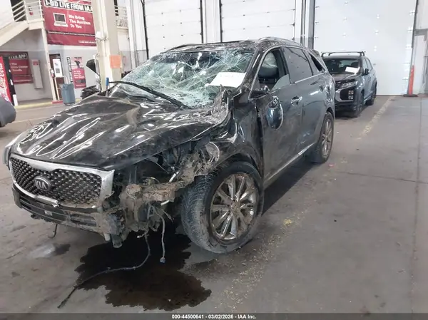 5XYPKDA57GG025637 2016 KIA SORENTO - Image 2