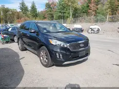 5XYPKDA57GG099110 2016 KIA SORENTO