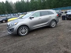 5XYPKDA57GG170404 2016 KIA SORENTO