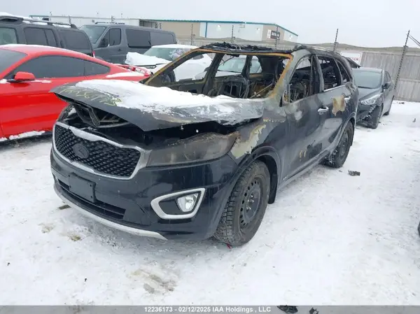 5XYPKDA57HG316141 2017 KIA SORENTO - Image 2