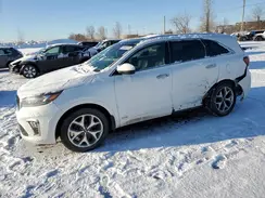 5XYPKDA57KG443558 2019 KIA SORENTO